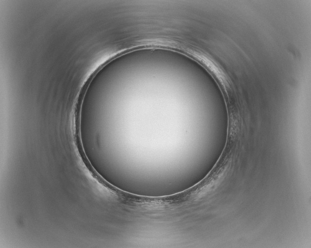 X0000116290999200911301415