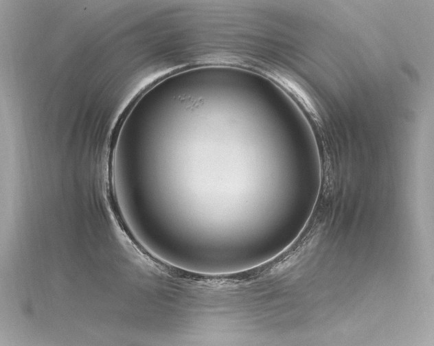 X0000116291000200911301415