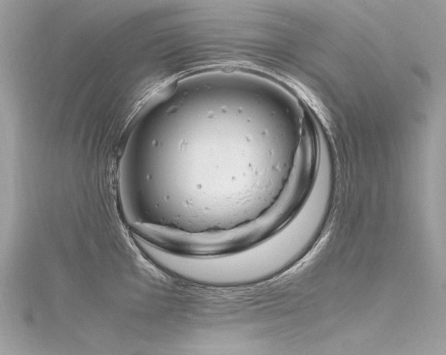 X0000116291001200911301415