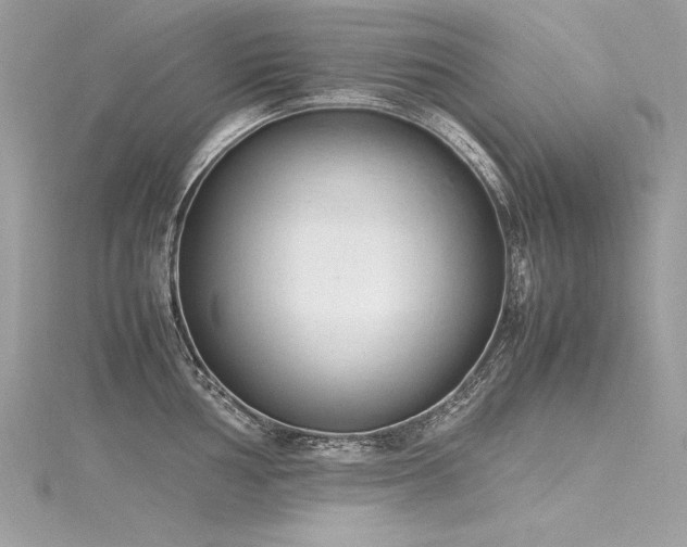 X0000116291002200911301415