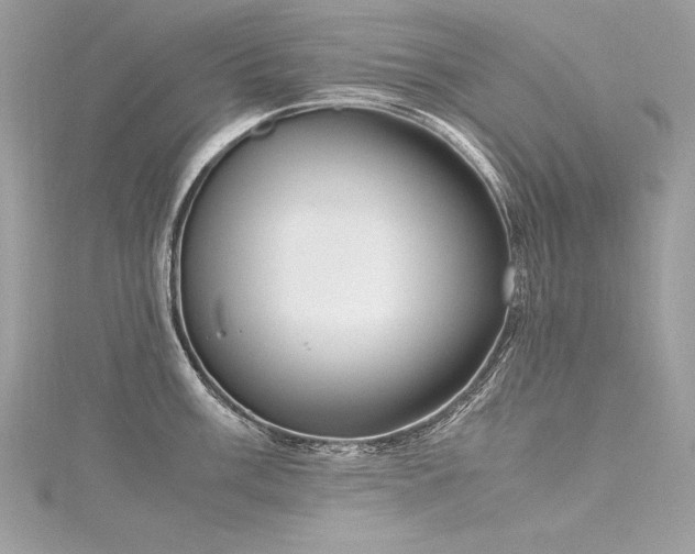 X0000116291003200911301415