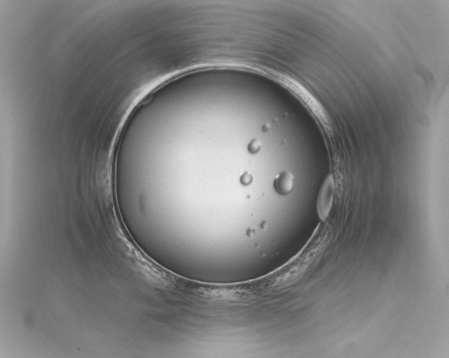 X0000116291004200911301415