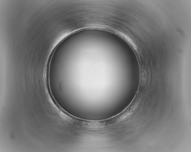 X0000116291007200911301415