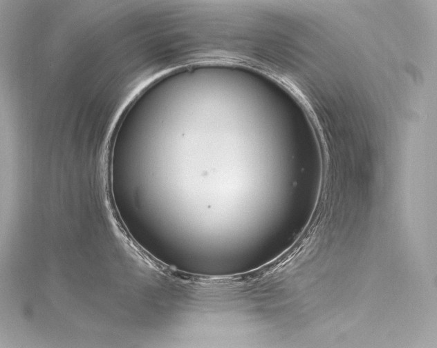 X0000116291008200911301415