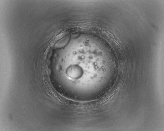 X0000116291009200911301414