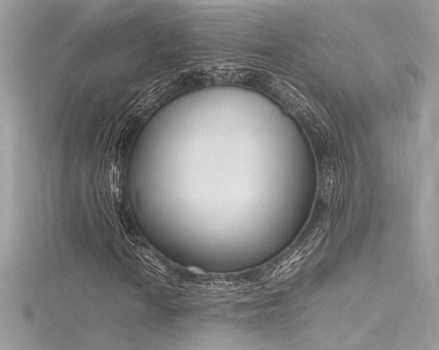 X0000116291010200911301414