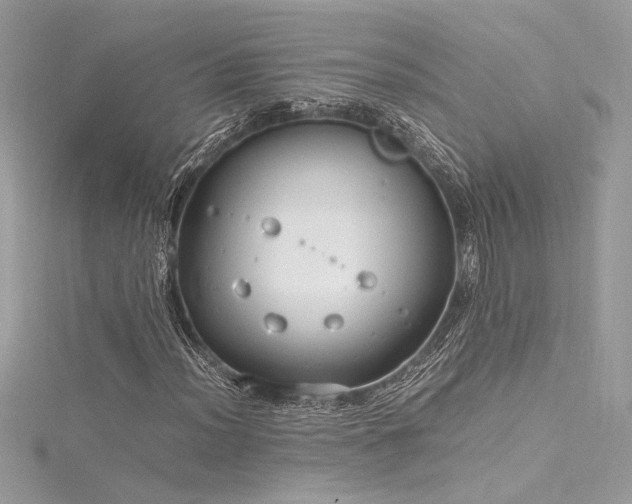 X0000116291012200911301414