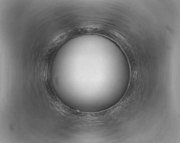 X0000116291014200911301414