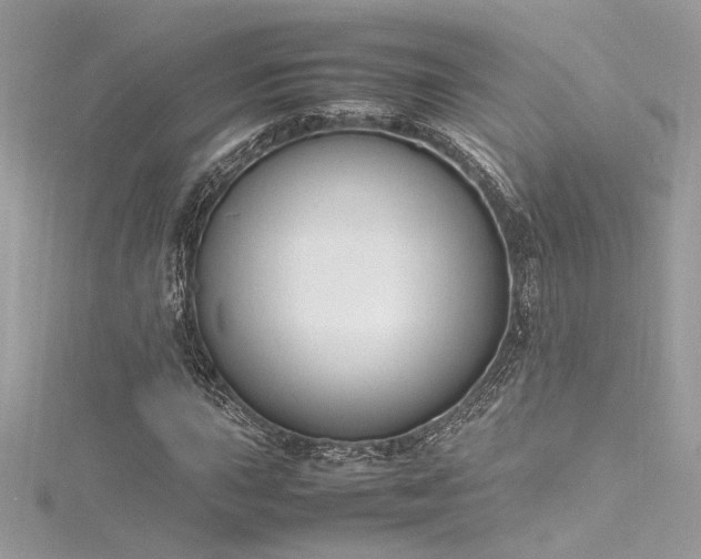 X0000116291015200911301414