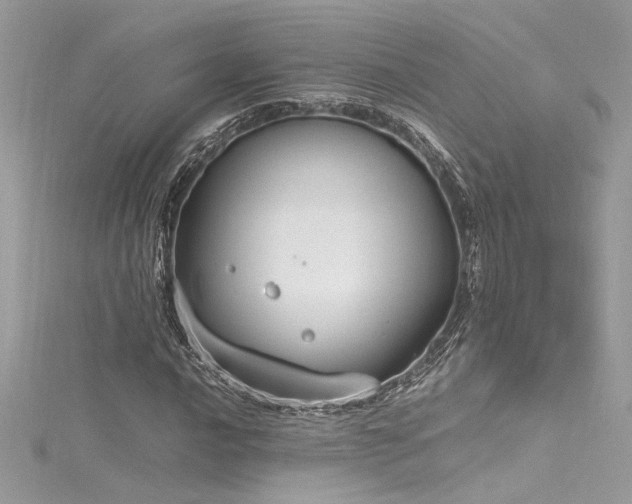 X0000116291016200911301414