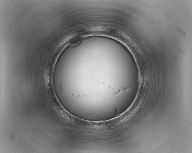 X0000116291017200911301414