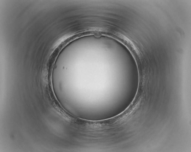 X0000116291019200911301414