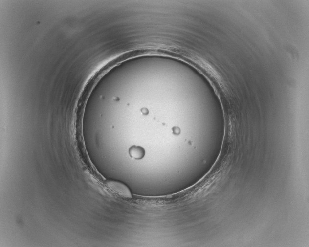 X0000116291020200911301414