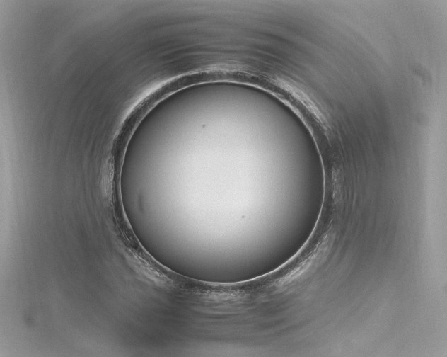 X0000116291021200911301414