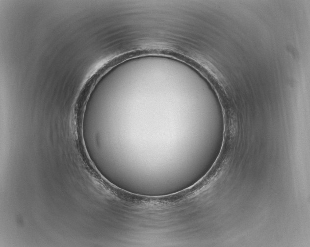 X0000116291022200911301414