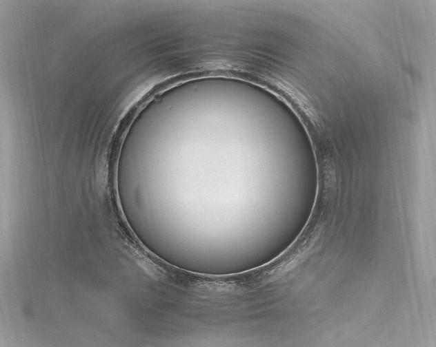 X0000116291023200911301414