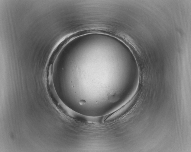 X0000116291024200911301414