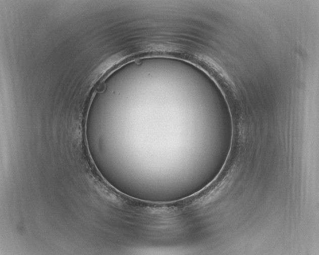 X0000116291025200911301414