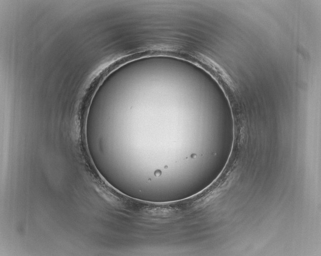 X0000116291027200911301414