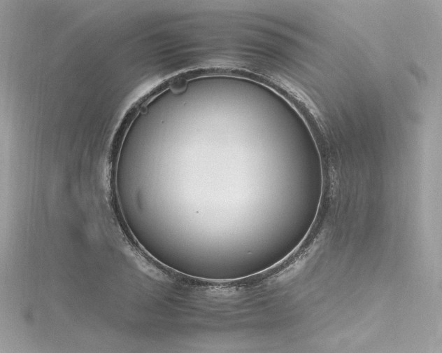 X0000116291029200911301414