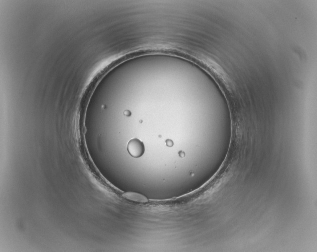 X0000116291030200911301414