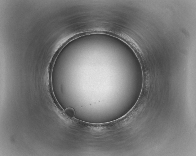 X0000116291031200911301414