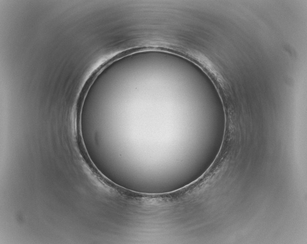 X0000116291032200911301414