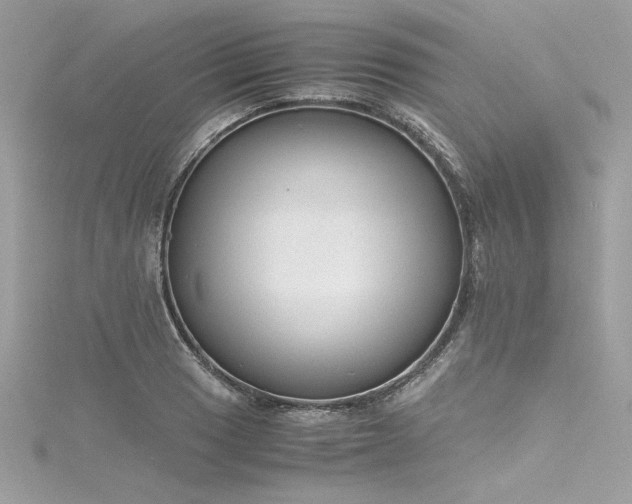 X0000116291033200911301414