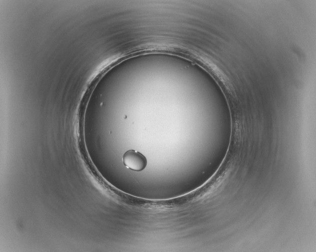 X0000116291034200911301414