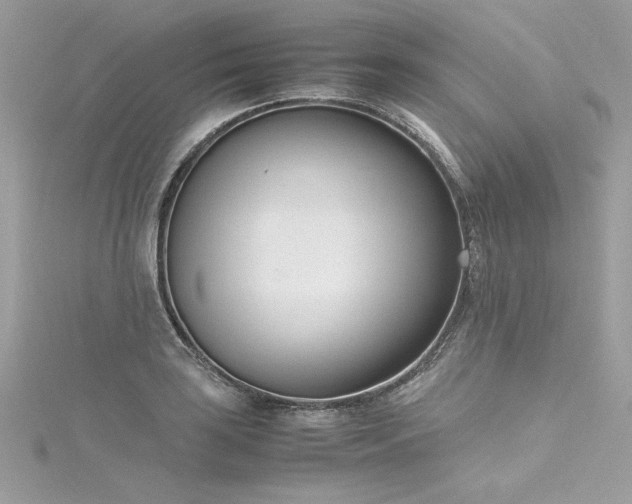 X0000116291035200911301414