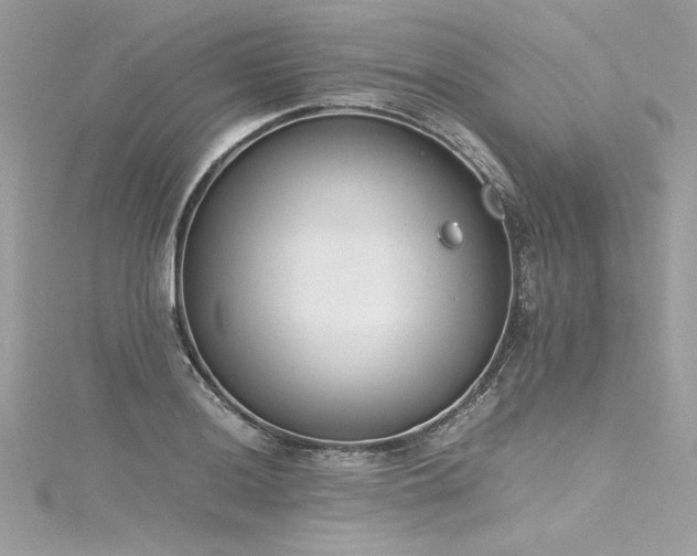 X0000116291036200911301414