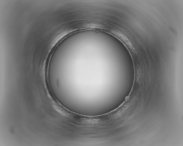 X0000116291039200911301414