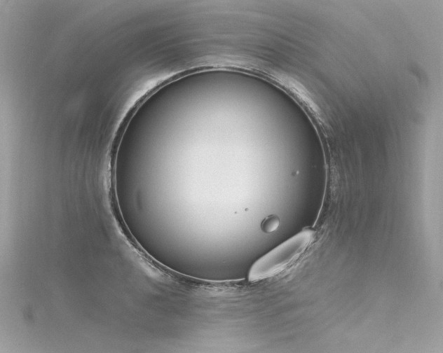 X0000116291040200911301414