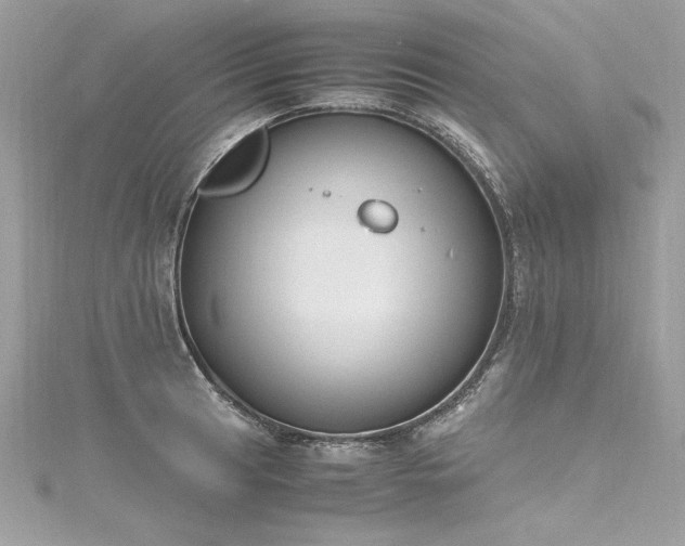 X0000116291041200911301414