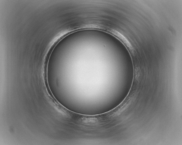 X0000116291043200911301415