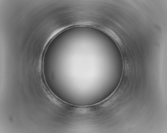 X0000116291044200911301415