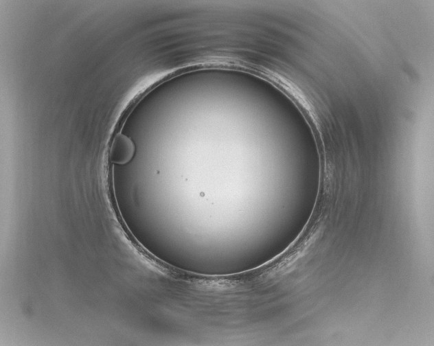 X0000116291045200911301415