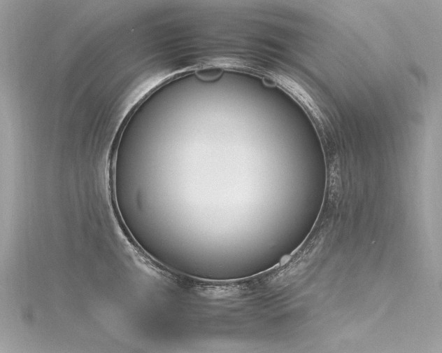 X0000116291047200911301415