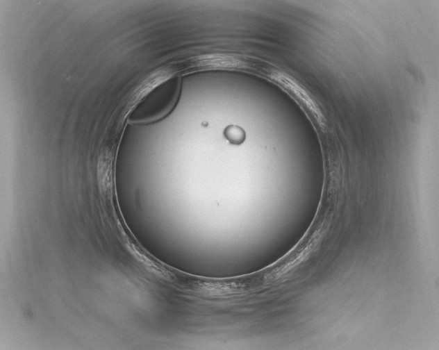 X0000116291049200911301415