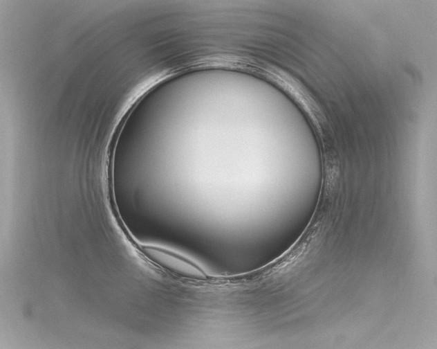 X0000116291050200911301415