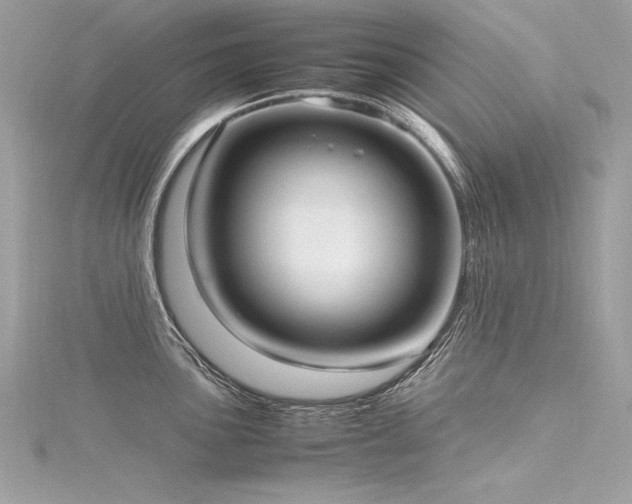 X0000116291051200911301415