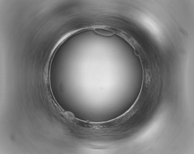 X0000116291052200911301415