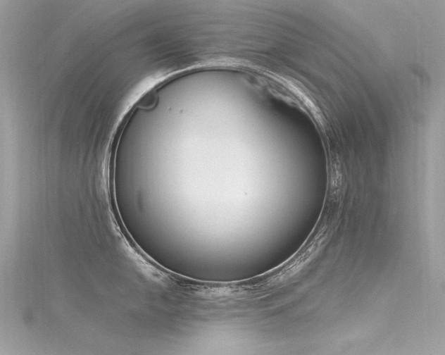 X0000116291054200911301415