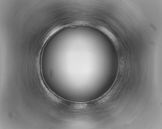 X0000116291055200911301415