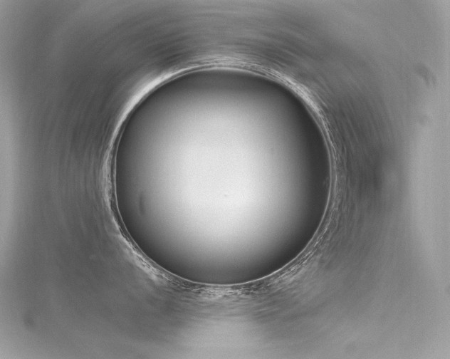 X0000116291056200911301415