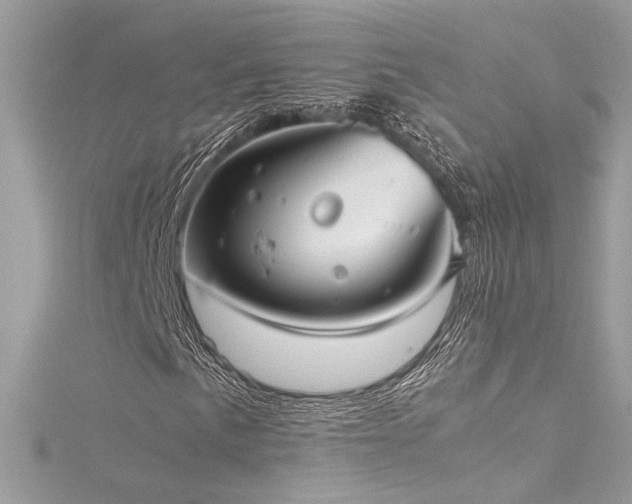 X0000116291057200911301414