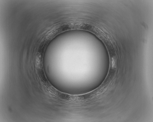 X0000116291059200911301414