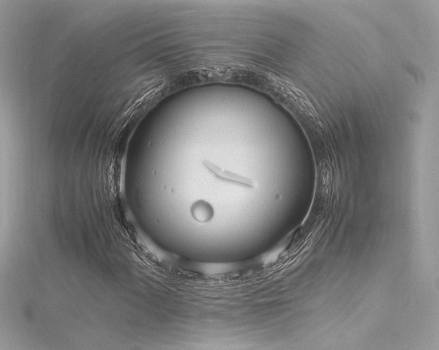 X0000116291060200911301414