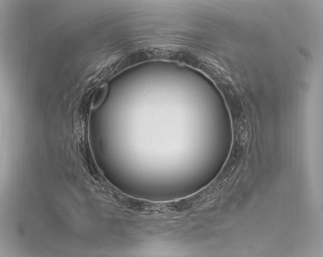 X0000116291061200911301414