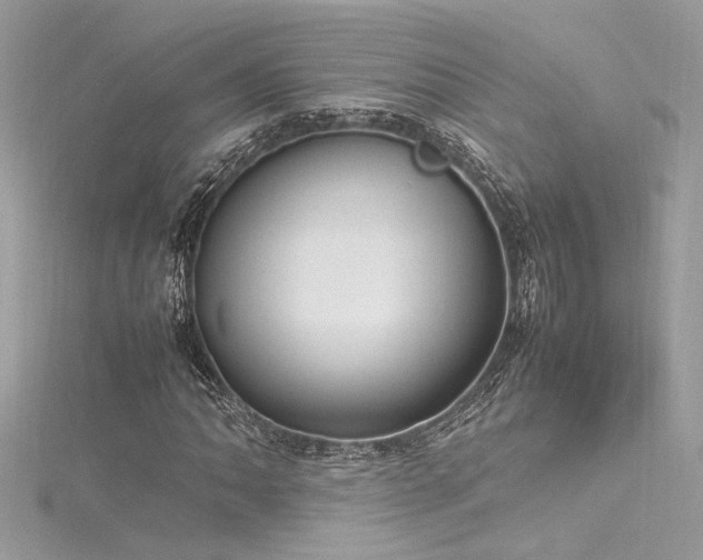 X0000116291062200911301414